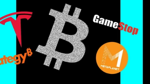 Những “cá mập” đang tích trữ nhiều bitcoin nhất thế giới