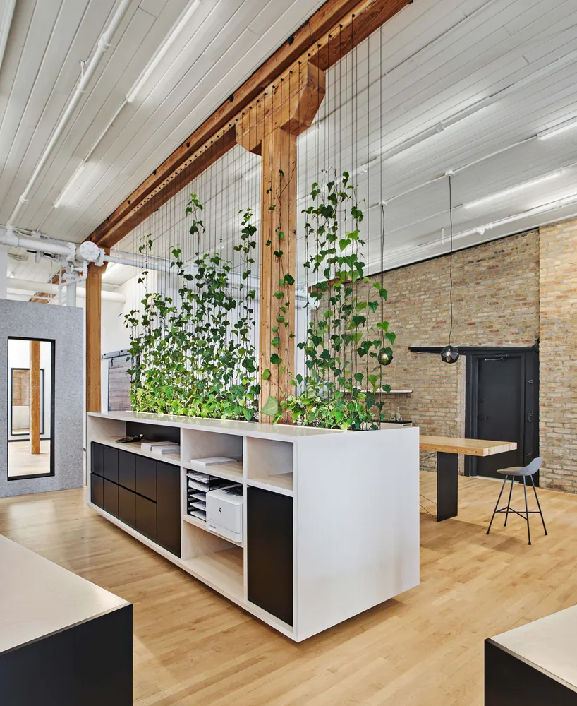Khám phá 5 mẫu văn phòng độc đáo có cây xanh tích hợp