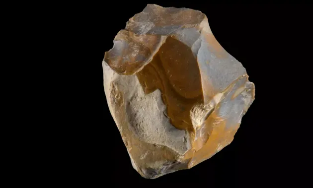Hóa thạch 1,5 triệu năm tuổi viết lại lý thuyết Out of Africa