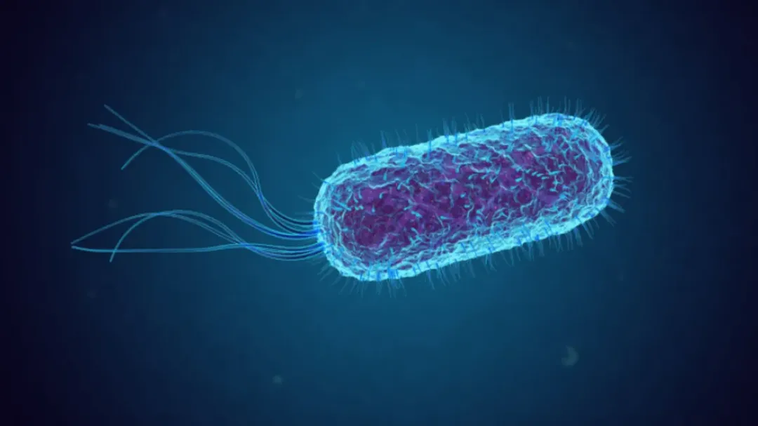 thumbnail - Tái tạo thành công bộ gen của vi khuẩn E.coli từ xác ướp cách đây 5 thế kỷ