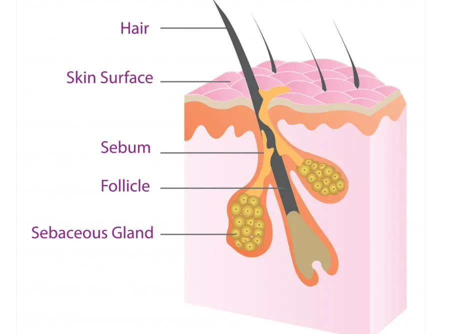 Nên tắm nước nóng hay nước lạnh? Nhiệt độ nước tắm bao nhiêu thì tốt nhất cho cơ thể?