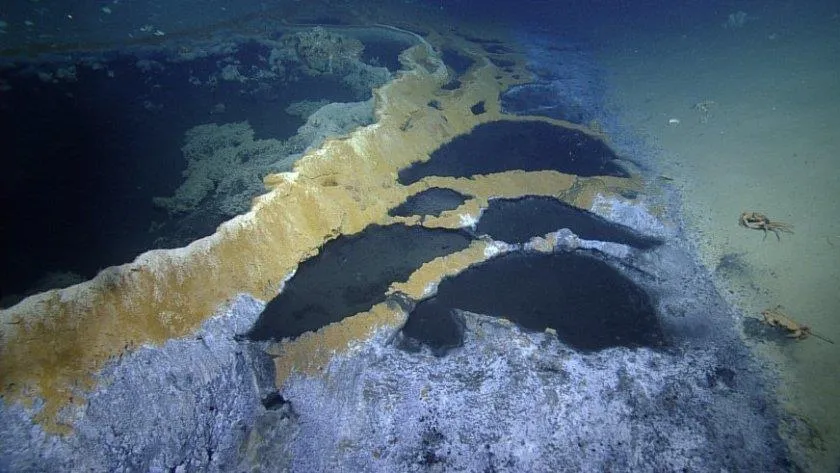 Hồ nước mặn: "Nấm mồ" vô hình dưới đáy đại dương