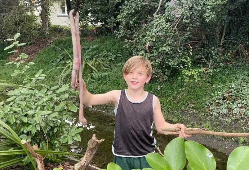 Bé 9 tuổi kinh ngạc phát hiện giun đất khổng lồ dài gần 1 mét trong vườn