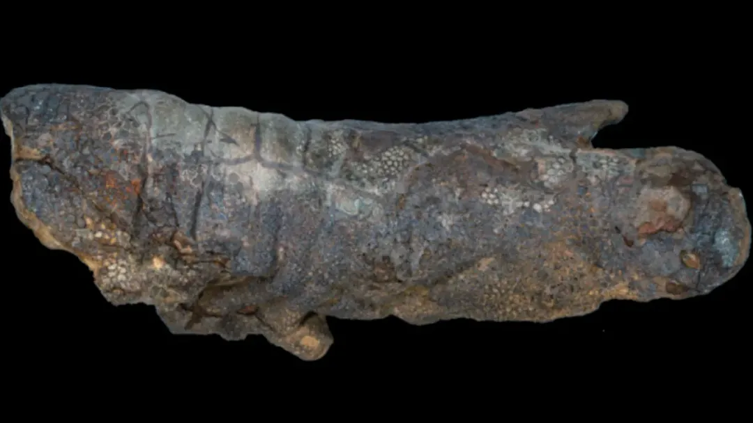 thumbnail - Khủng long cũng tồn tại “xác ướp”! Những phát hiện thú vị về cách bảo quản xác khủng long