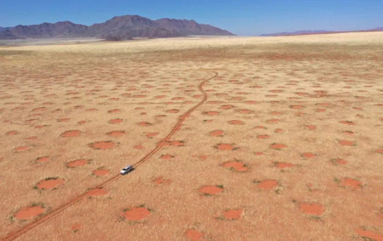 Những “Vòng tròn cổ tích” bí ẩn của sa mạc Namibia khiến giới khoa học đau đầu trong nhiều năm, nay đã có lời giải!