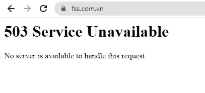 Công ty giải pháp phần mềm tài chính FSS bị hack, khẳng định không mất dữ liệu khách hàng, website hiện không truy cập được