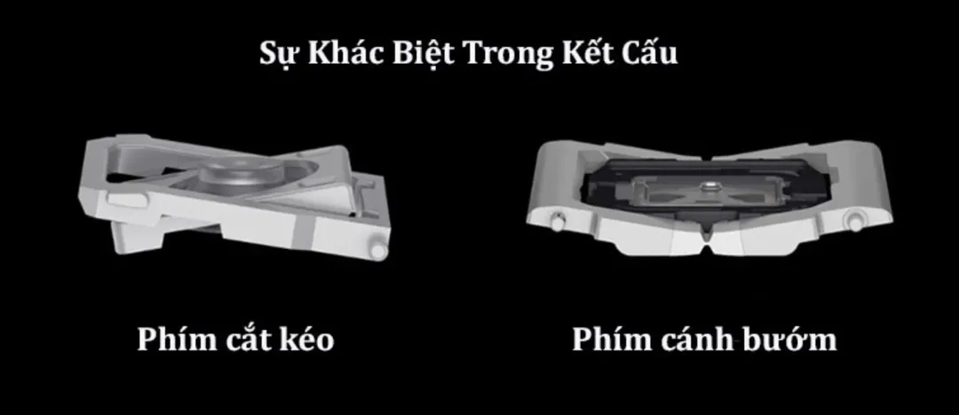 Apple phải bồi thường đến 395 USD cho mỗi người bị hỏng bàn phím cánh bướm