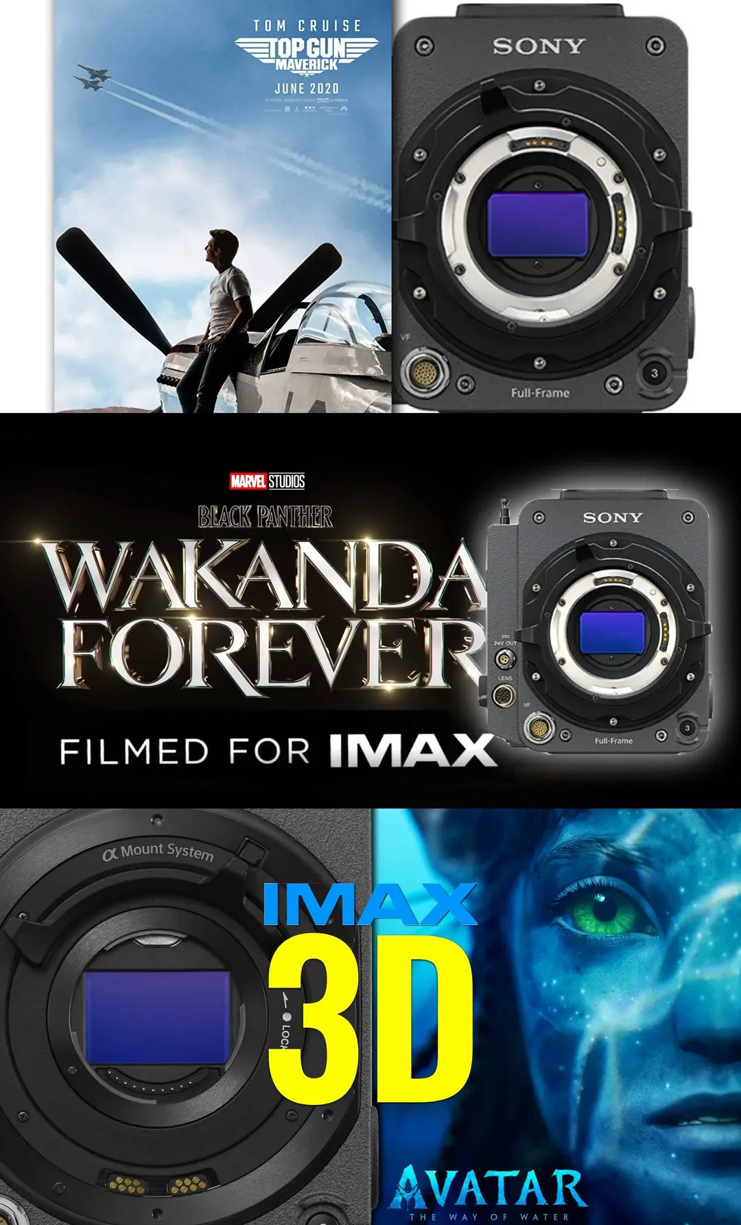 Nên mua vé rạp IMAX, 4DX hay ScreenX để xem Avatar: Dòng chảy của nước trọn vẹn nhất?