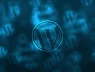 Hơn 100.000 website WordPress có nguy cơ bị chiếm quyền admin qua plugin AI Engine