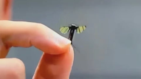 Trung Quốc khiến cả thế giới “mắt chữ O mồm chữ A” khi phát triển drone tí hon cỡ con muỗi