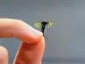 Trung Quốc khiến cả thế giới “mắt chữ O mồm chữ A” khi phát triển drone tí hon cỡ con muỗi