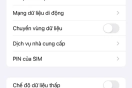 Cách kiểm tra số nào đang dùng eSIM trên iPhone
