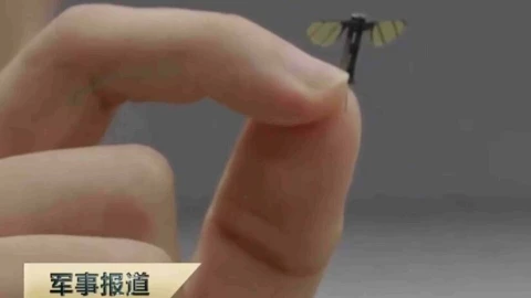 Trung Quốc phát triển drone trinh sát siêu nhỏ, kích thước chỉ bằng một con muỗi