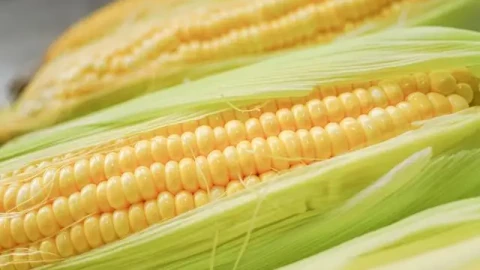 Ăn ngô hàng ngày có tốt như bạn nghĩ? Góc nhìn từ dinh dưỡng học