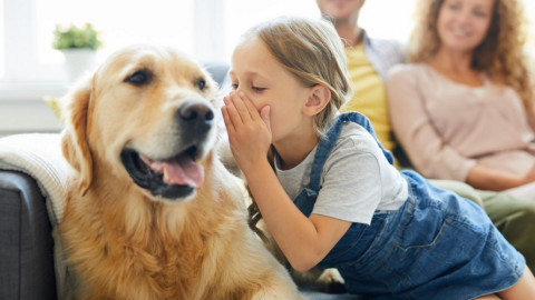 Tìm người biết trò chuyện với động vật, trao thưởng lên tới hơn 250 tỷ đồng