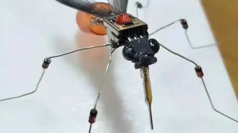 Trung Quốc khoe UAV hình muỗi: Vũ khí do thám tương lai?