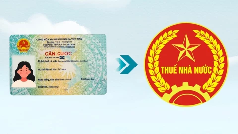 2 cách nhận biết số CCCD đã thay thế mã số thuế cá nhân chưa