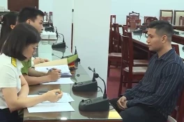 Khởi tố giám đốc Công ty TNHH Mi Hà Nội vì trốn thuế