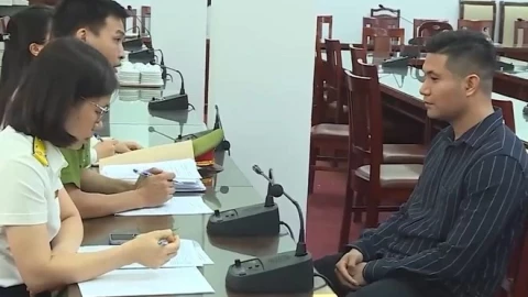 Khởi tố giám đốc Công ty TNHH Mi Hà Nội vì trốn thuế