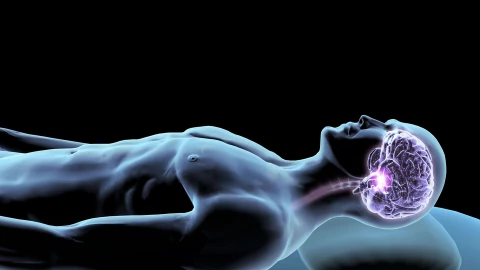Cái chết không hẳn là điểm kết thúc: Khi não bộ vẫn còn "sống"