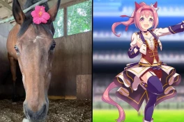 Hiện tượng mạng Haru Urara nổi đình nổi đám nhờ 1 trò chơi di động anime