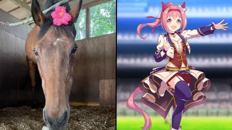 Hiện tượng mạng Haru Urara nổi đình nổi đám nhờ 1 trò chơi di động anime