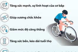Dành cho ai có ý định tậu xe đạp thay cho xe máy, cách phân biệt cách loại xe đạp thể thao chống "lú" chọn đúng xe với nhu cầu