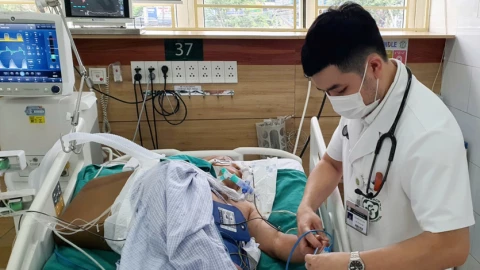 Bị rắn độc cắn: Đừng để mất mạng vì tin thầy lang, thuốc lá