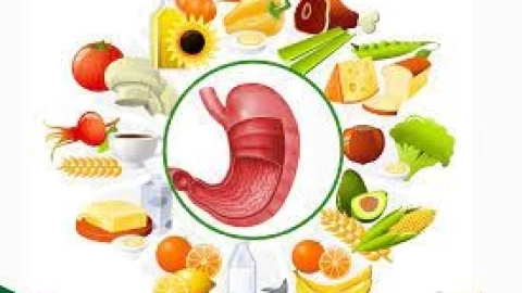 Bệnh nhân viêm loét dạ dày, tá tràng nên sử dụng chế độ dinh dưỡng như nào để cải thiện sức khỏe?