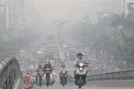 Hé lộ vũ khí bí mật giúp các thành phố chống lại ô nhiễm không khí
