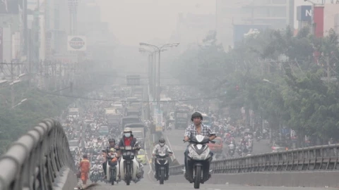 Hé lộ vũ khí bí mật giúp các thành phố chống lại ô nhiễm không khí