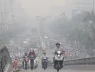 Hé lộ vũ khí bí mật giúp các thành phố chống lại ô nhiễm không khí