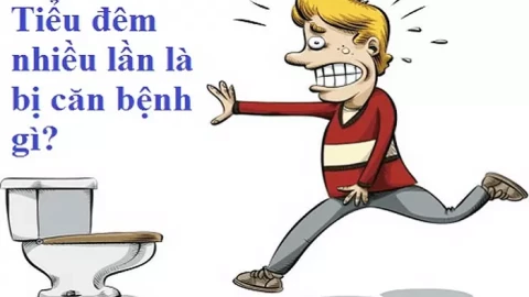 Một số hiểu biết về tiểu đêm