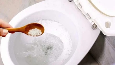 Tại sao nên rắc muối vào bồn cầu?