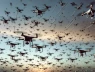 Xuất hiện vũ khí phòng thủ bắn hạ drone giá rẻ bằng chùm tia sáng chính xác như phẫu thuật