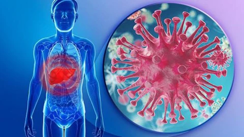 Tuân thủ điều trị thuốc kháng virus: Lợi ích với người viêm gan mạn do virus viêm gan B