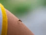 Tiến sĩ viết sách về muỗi chỉ ra 5 mẹo hạn chế thu hút muỗi