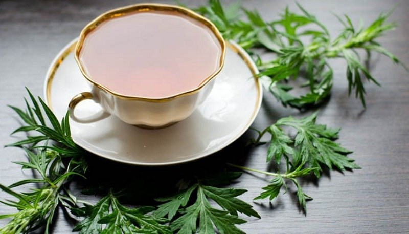 Trà thảo mộc là gì? Các loại trà thảo mộc tốt cho sức khỏe