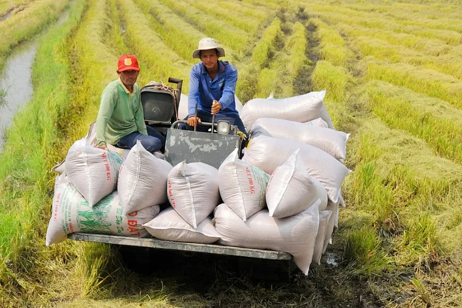 Người Việt bỏ ra khoảng 120.000 tấn gạo để mua iPhone 14 chỉ trong ngày đầu mở bán