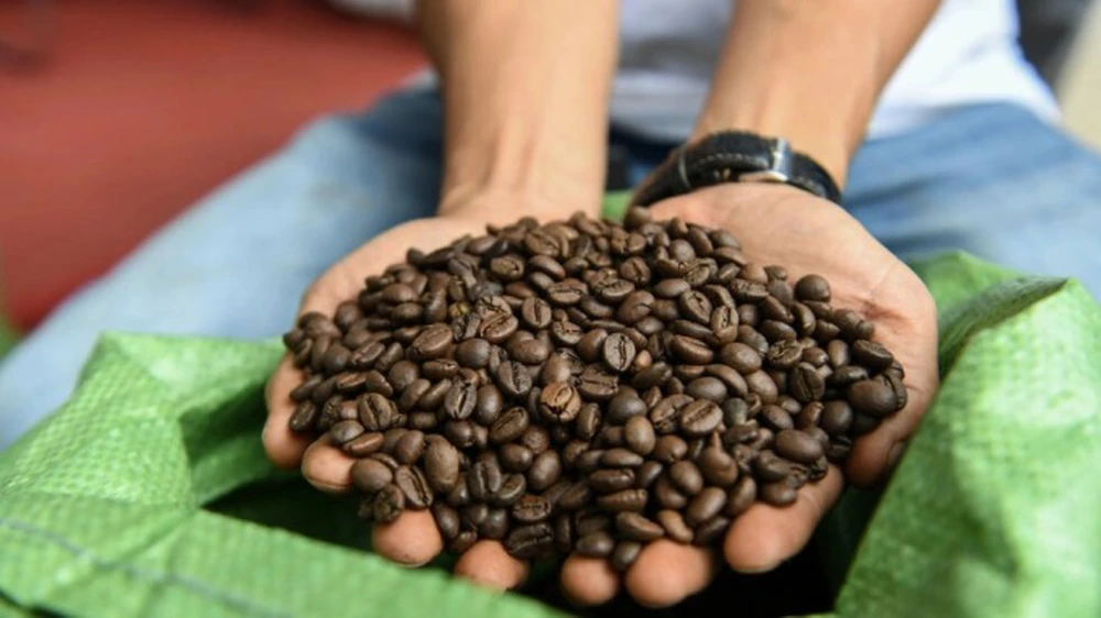 Giá cà phê robusta tăng cao nhất 15 năm, Việt Nam có ảnh hưởng gì?