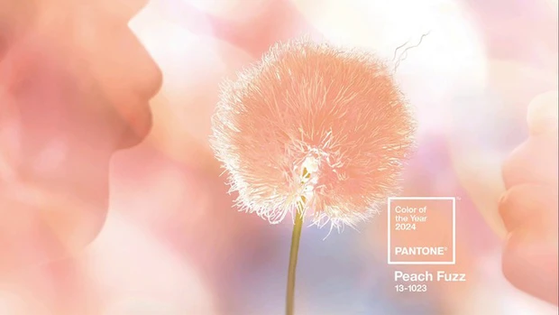 Pantone công bố màu của năm 2024: Màu của lòng nhân ái, sự kết nối con người và sức khỏe tinh thần