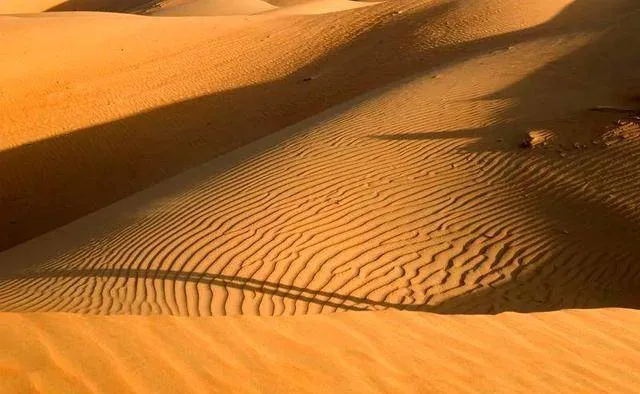 Có rất ít cát để xây dựng, tại sao con người không lấy cát sa mạc để xây nhà?