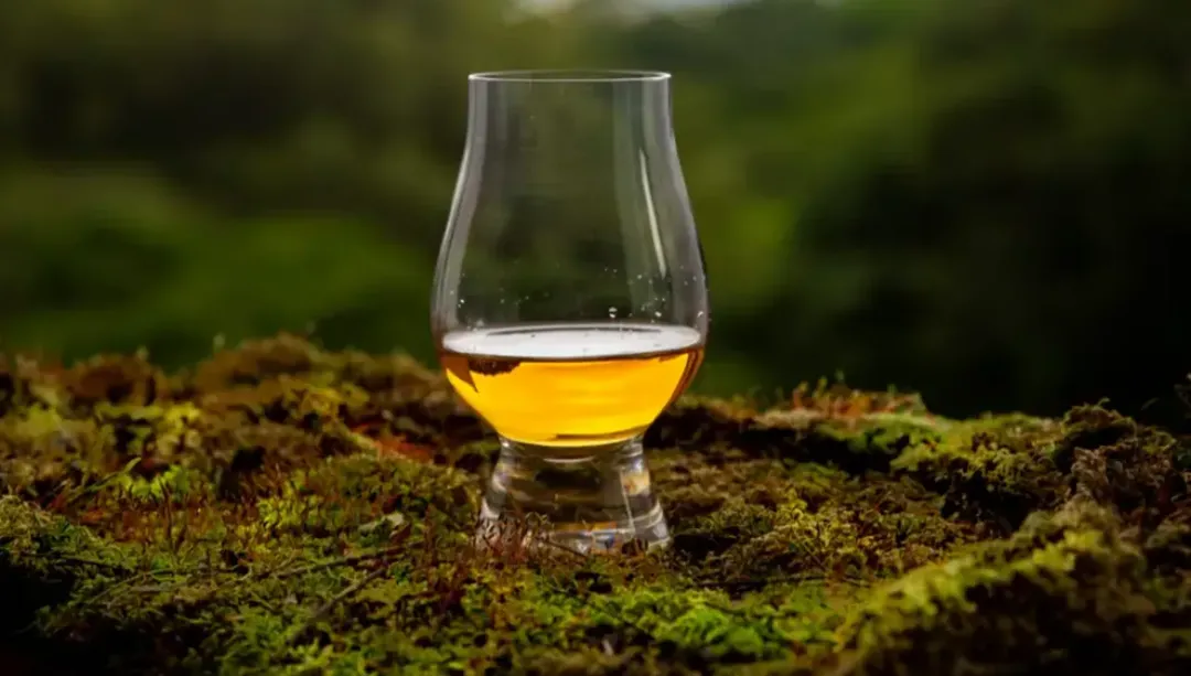 thumbnail - Sự khác biệt giữa Whisky Scotch và rượu Whisky nói chung là gì?