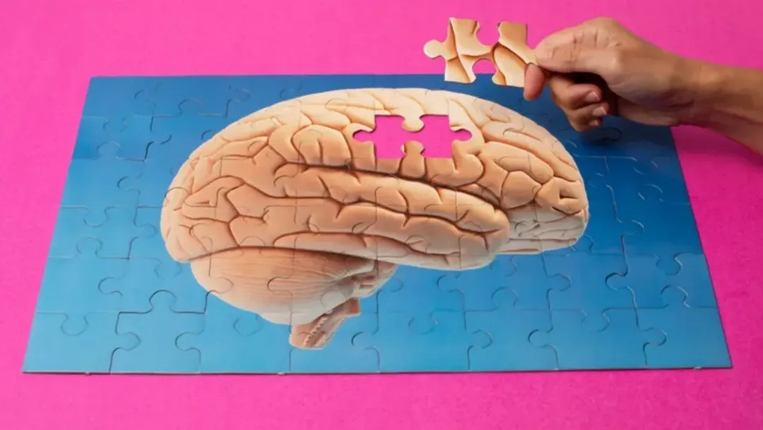 thumbnail - Nhiều người vẫn hiểu nhầm giữa Alzheimer và bệnh sa sút trí tuệ, đâu là sự khác biệt?