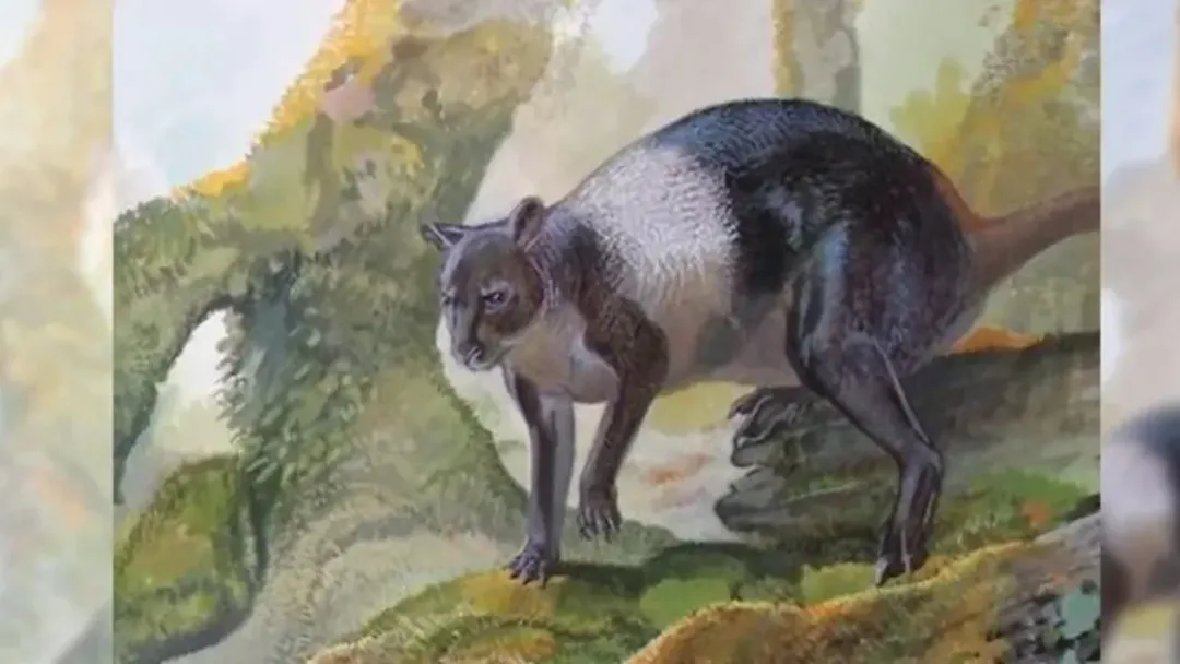 thumbnail - Cách đây 40.000 năm, "chuột túi" nguyên thủy khổng lồ nặng tới 3 tấn