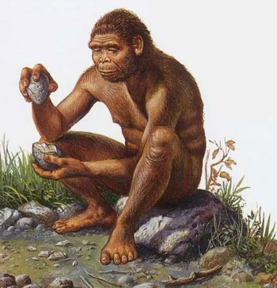 Chiếc xương đùi "viết lại" lịch sử tiến hóa loài người, phải chăng chúng ta đã sai về thời điểm loài vượn biết đi bằng 2 chân?