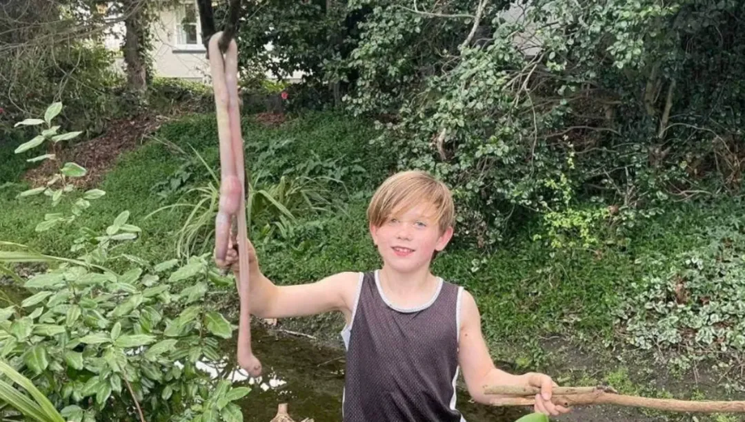 thumbnail - Bé 9 tuổi kinh ngạc phát hiện giun đất khổng lồ dài gần 1 mét trong vườn