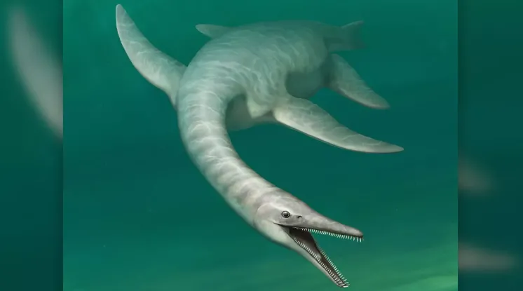 Kinh ngạc phát hiện "thủy quái" cách đây 100 triệu năm có cổ dài như rắn và hàm răng cá sấu - độc nhất vô nhị