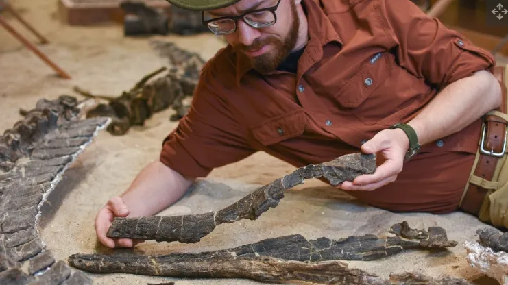 Kinh ngạc phát hiện "thủy quái" cách đây 100 triệu năm có cổ dài như rắn và hàm răng cá sấu - độc nhất vô nhị