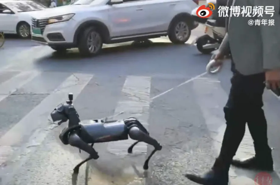 Người dân Trung Quốc lại có thú vui mới: nuôi chó robot làm cảnh